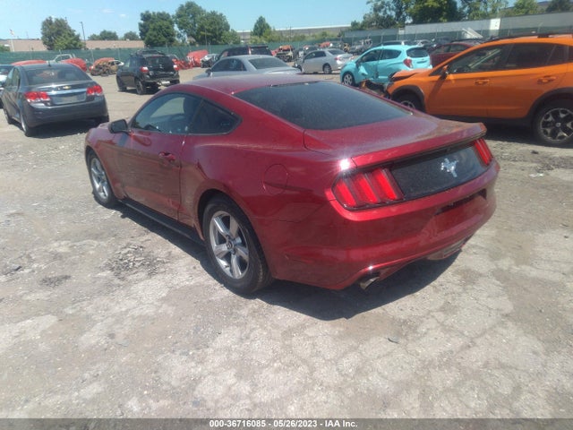 Ford Mustang V6 2017 1FA6P8AM8H5333959 Image 3