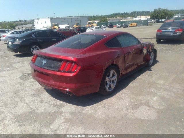 Ford Mustang V6 2017 1FA6P8AM8H5333959 Image 4