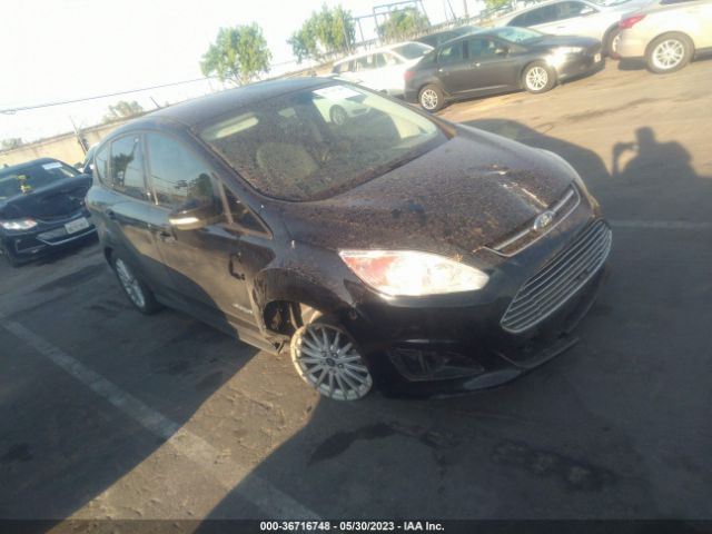 1FADP5AU1GL109853 auction archive image