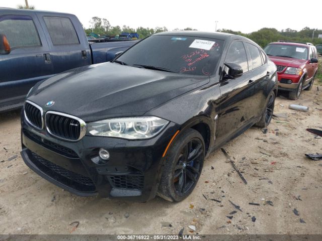 5YMKW8C58G0R43834 BMW X6 M