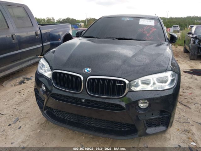 5YMKW8C58G0R43834 BMW X6 M