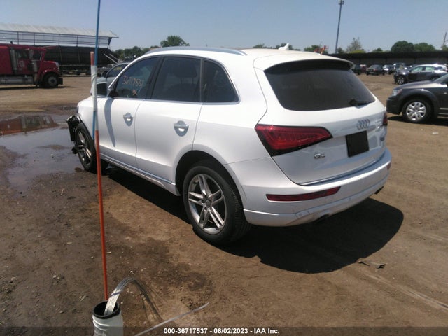 WA1L2AFP8GA051746 Audi Q5 Premium Plus