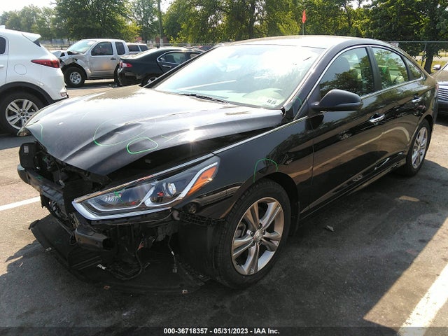 Hyundai SONATA SEL 2019 5NPE34AFXKH806571 Image 2