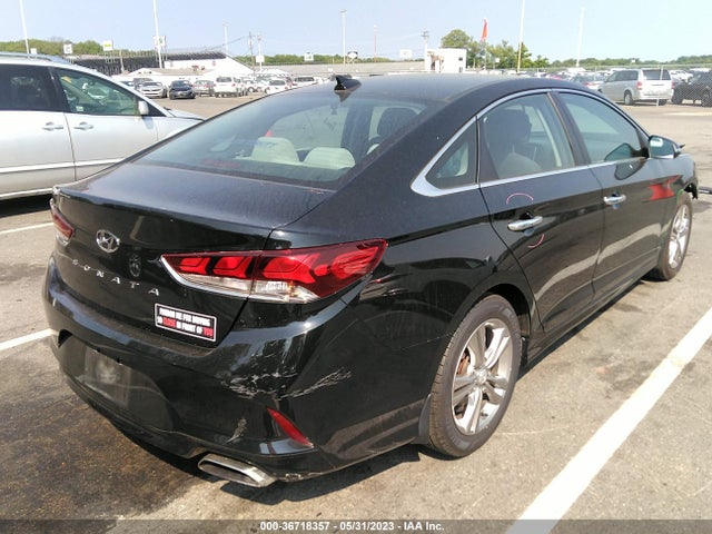 Hyundai SONATA SEL 2019 5NPE34AFXKH806571 Image 5