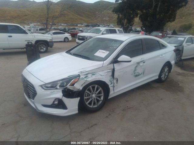 5NPE24AF3KH819570 Hyundai SONATA SE
