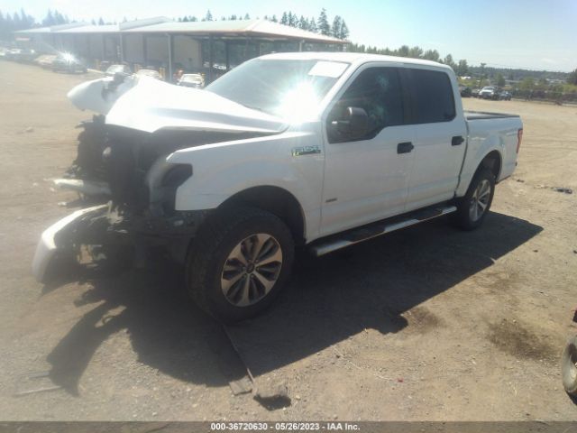1FTEW1EG3HFB74220 Ford F-150 Xl/xlt/lariat