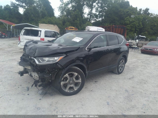 Honda Cr-v Ex-l 2019 7FARW2H8XKE032605 Image 2