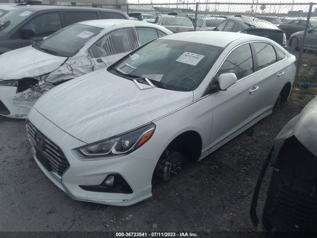 Hyundai SONATA SE 2019 5NPE24AFXKH795607 Image 2