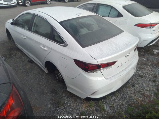 Hyundai SONATA SE 2019 5NPE24AFXKH795607 Image 3
