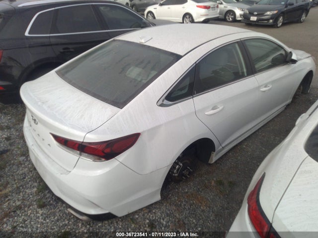 Hyundai SONATA SE 2019 5NPE24AFXKH795607 Image 4