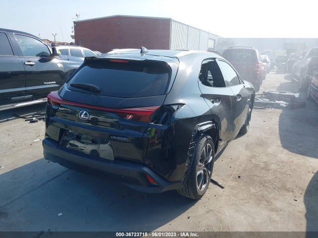 2019 LEXUS UX UX 250H VIN: JTHU9JBH0K2001106