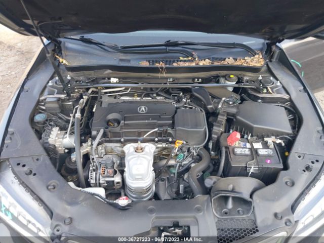 19UUB1F32FA007037 Acura TLX