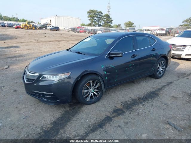 19UUB1F32FA007037 Acura TLX