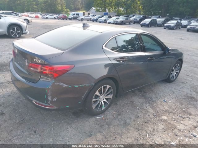 19UUB1F32FA007037 Acura TLX