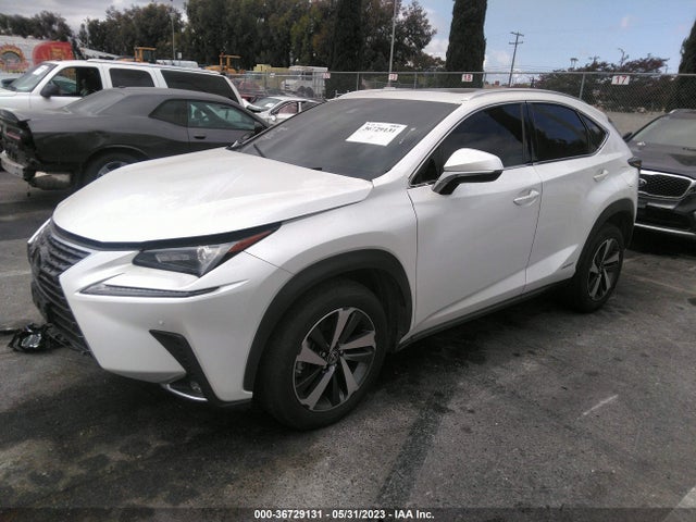 JTJGJRDZ5L5004316 Lexus Nx Nx 300h