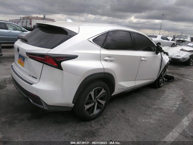 JTJGJRDZ5L5004316 Lexus Nx Nx 300h