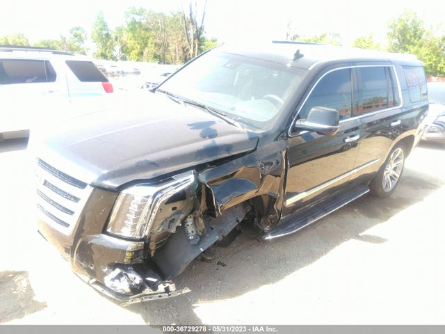 1GYS4BKJ0LR288434 Cadillac Escalade Luxury