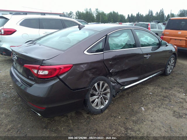Hyundai Sonata Sport 2017 5NPE34AF4HH552302 Image 5