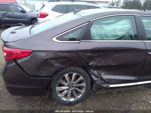 Hyundai Sonata Sport 2017 5NPE34AF4HH552302 Image 7