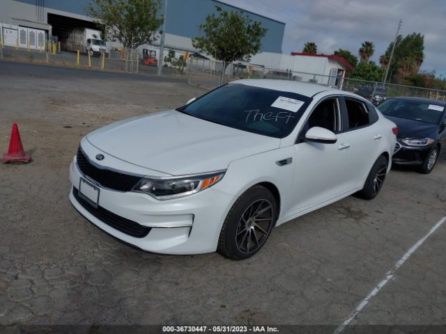 5XXGT4L32JG264436 KIA Optima Lx