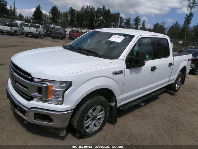 Ford F-150 Xl/xlt/lariat 2019 1FTFW1E49KKC63248 Image 2