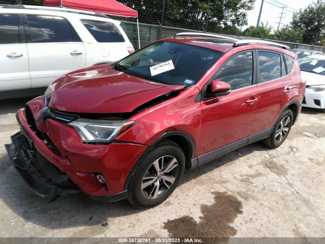 Toyota Rav4 Xle 2016 JTMWFREV7GJ087515 Image 2