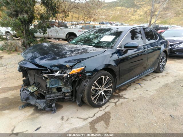 Toyota Camry Le/se/xle/l 2019 4T1B11HK1KU699373 Image 2