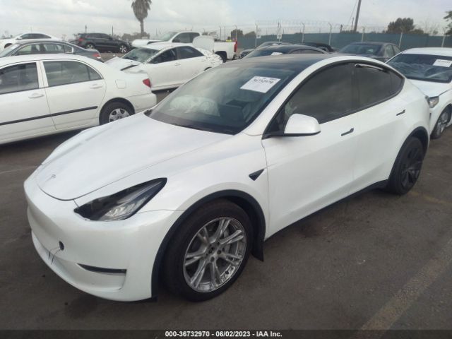 5YJYGDEE2MF197819 Tesla Model Y Long Range