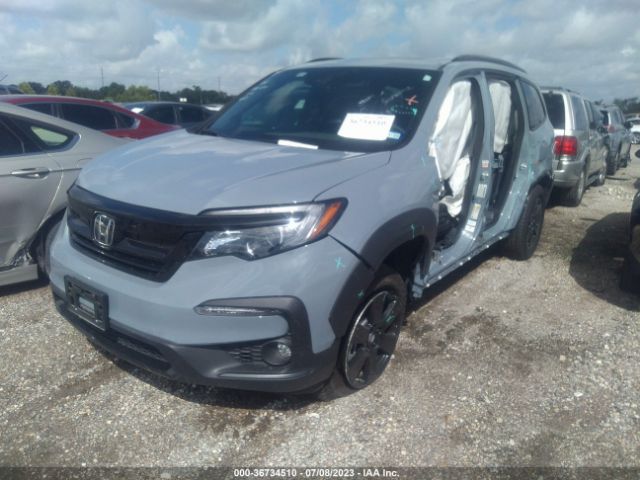 5FNYF6H83NB093698 Honda Pilot Trailsport