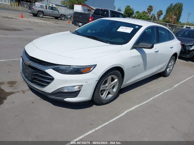 Chevrolet Malibu 1fl 2019 1G1ZC5STXKF153741 Image 2