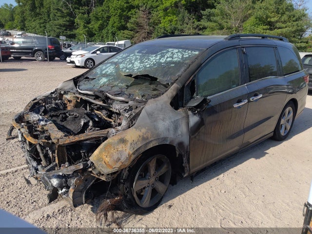 Honda Odyssey Ex-l 2020 5FNRL6H75LB052345 Image 2
