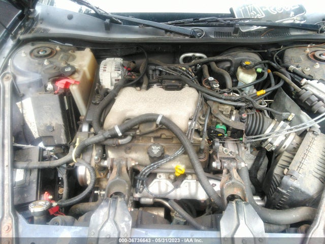 2003 BUICK CENTURY CUSTOM VIN: 2G4WS52J031281891