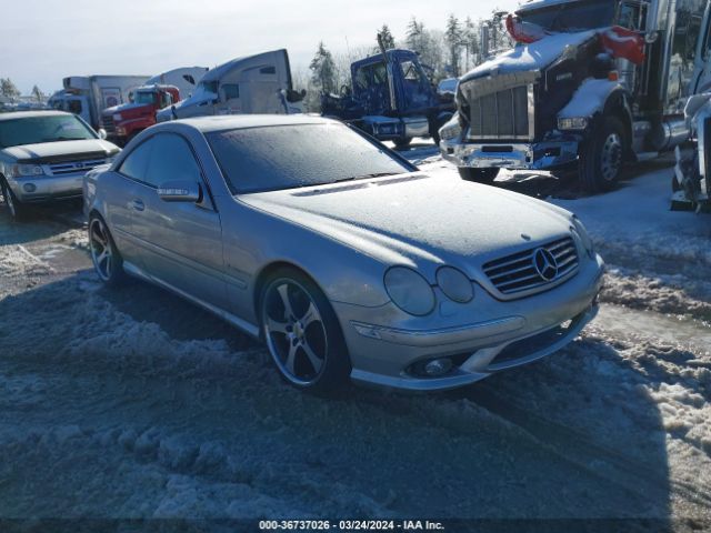 2003 MERCEDES-BENZ CL-CLASS WDBPJ74J63A036828