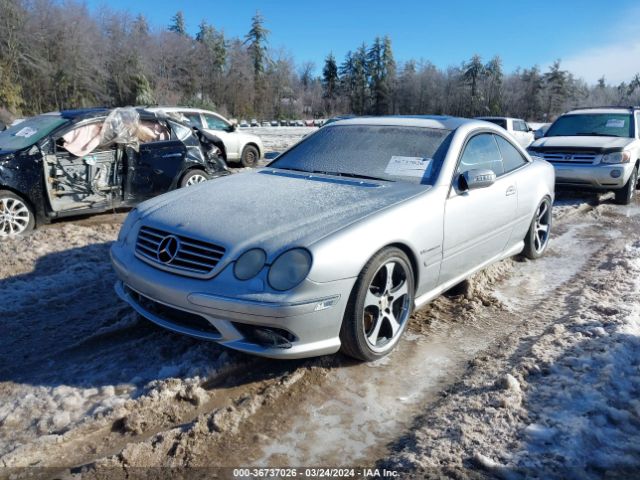 2003 MERCEDES-BENZ CL-CLASS WDBPJ74J63A036828 Photo 1