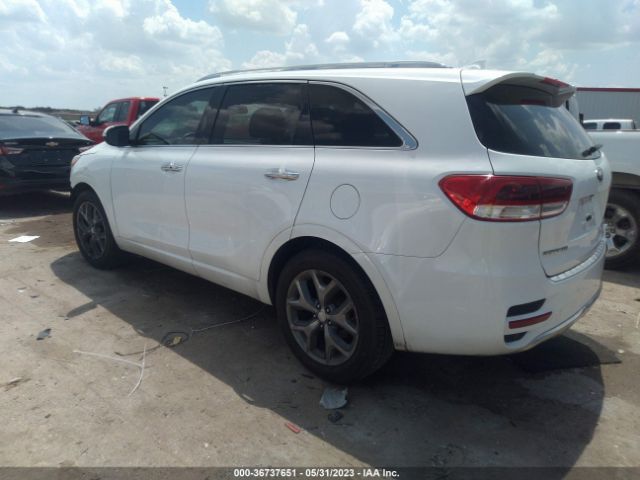 5XYPK4A5XHG235795 KIA Sorento Sx V6