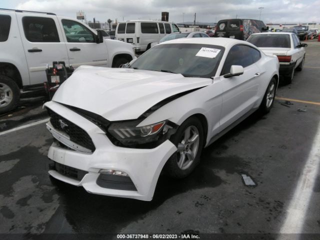 1FA6P8AMXF5363137 Ford Mustang V6