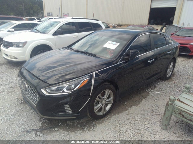 Hyundai SONATA SEL 2019 5NPE34AF8KH782089 Image 2