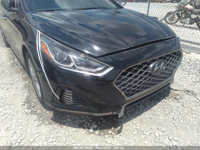Hyundai SONATA SEL 2019 5NPE34AF8KH782089 Image 7