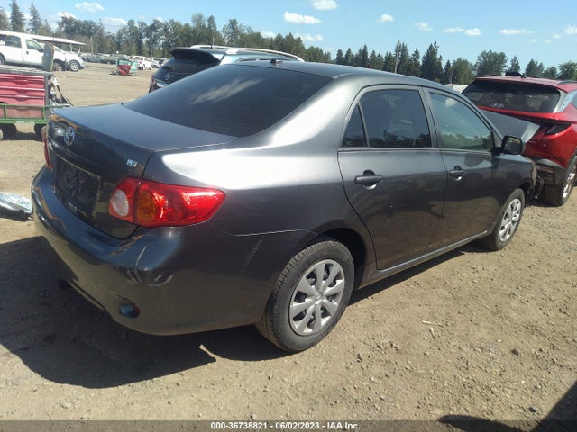 2010 TOYOTA COROLLA LE VIN: 2T1BU4EE6AC510174