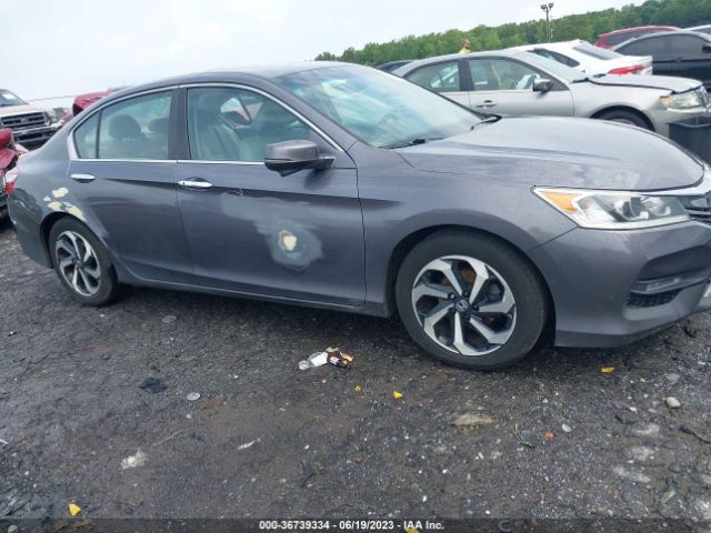 1HGCR2F82GA013849 Honda Accord Ex-l