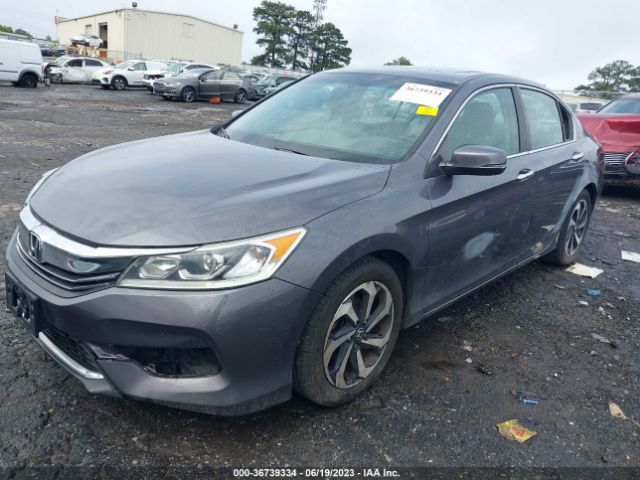 1HGCR2F82GA013849 Honda Accord Ex-l