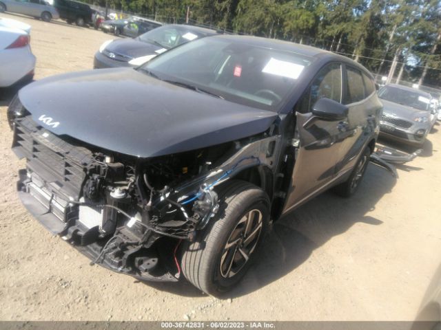 KNDPUCAG7P7027990 KIA Sportage Hybrid Lx