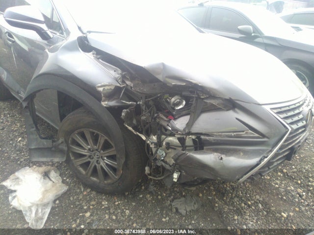 2019 Lexus NX, VIN: JTJBARBZ5K2203119