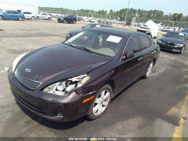 2005 LEXUS ES 330 VIN: JTHBA30G755129933