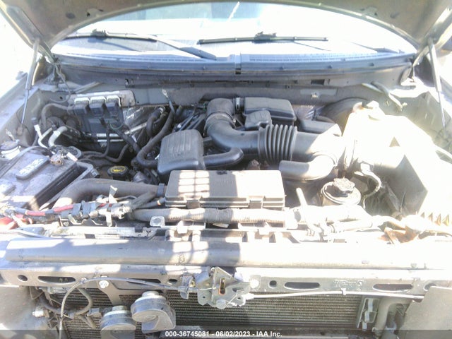 2010 FORD F-150 XL/XLT VIN: 1FTFW1CV6AFD61382