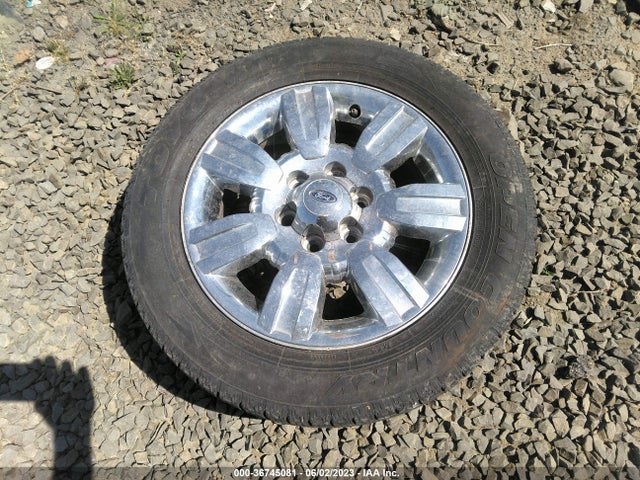 2010 FORD F-150 XL/XLT VIN: 1FTFW1CV6AFD61382