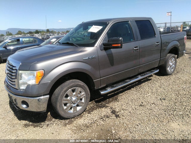 2010 FORD F-150 XL/XLT VIN: 1FTFW1CV6AFD61382