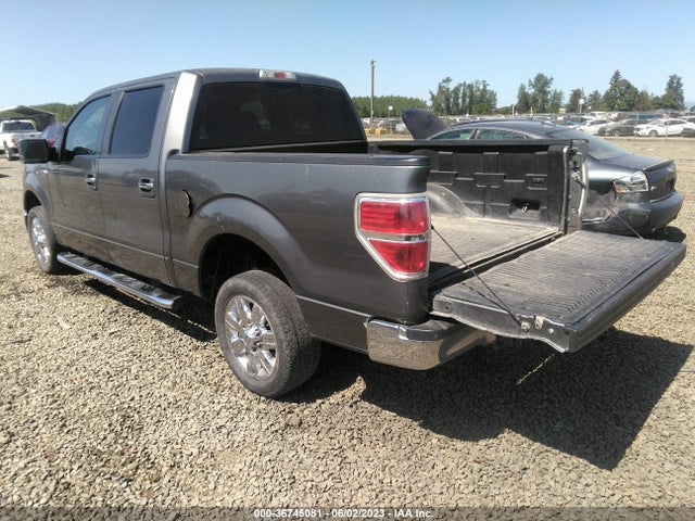 2010 FORD F-150 XL/XLT VIN: 1FTFW1CV6AFD61382