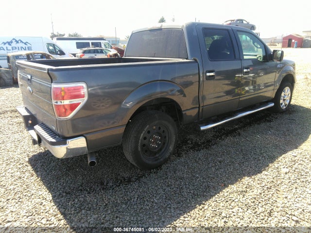 2010 FORD F-150 XL/XLT VIN: 1FTFW1CV6AFD61382