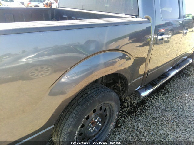 2010 FORD F-150 XL/XLT VIN: 1FTFW1CV6AFD61382